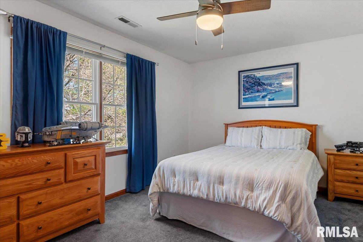 3725 Indian Grass Lane Springfield, IL 62712 - Photo 26 of 48