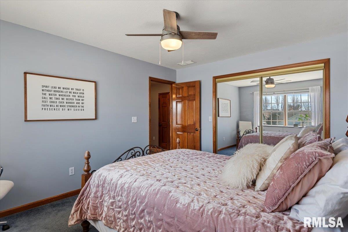 3725 Indian Grass Lane Springfield, IL 62712 - Photo 29 of 48