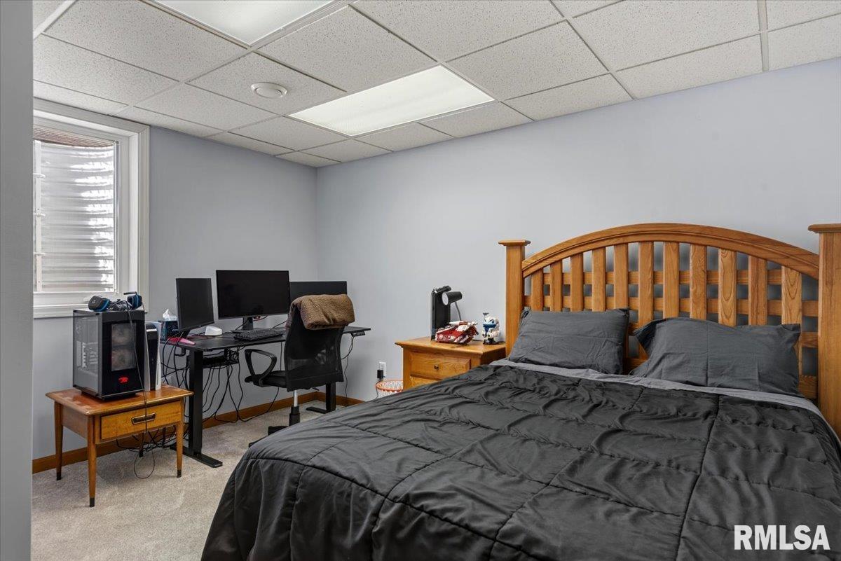 3725 Indian Grass Lane Springfield, IL 62712 - Photo 34 of 48