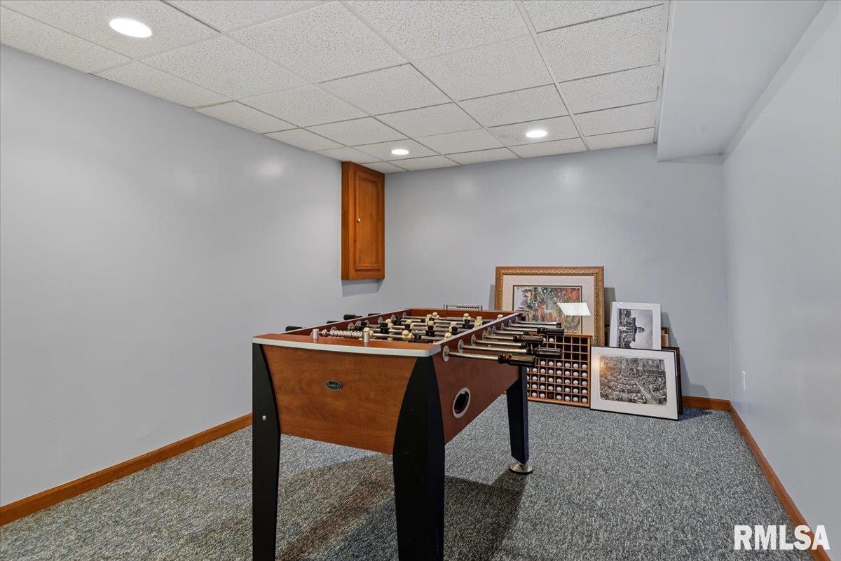 3725 Indian Grass Lane Springfield, IL 62712 - Photo 36 of 48