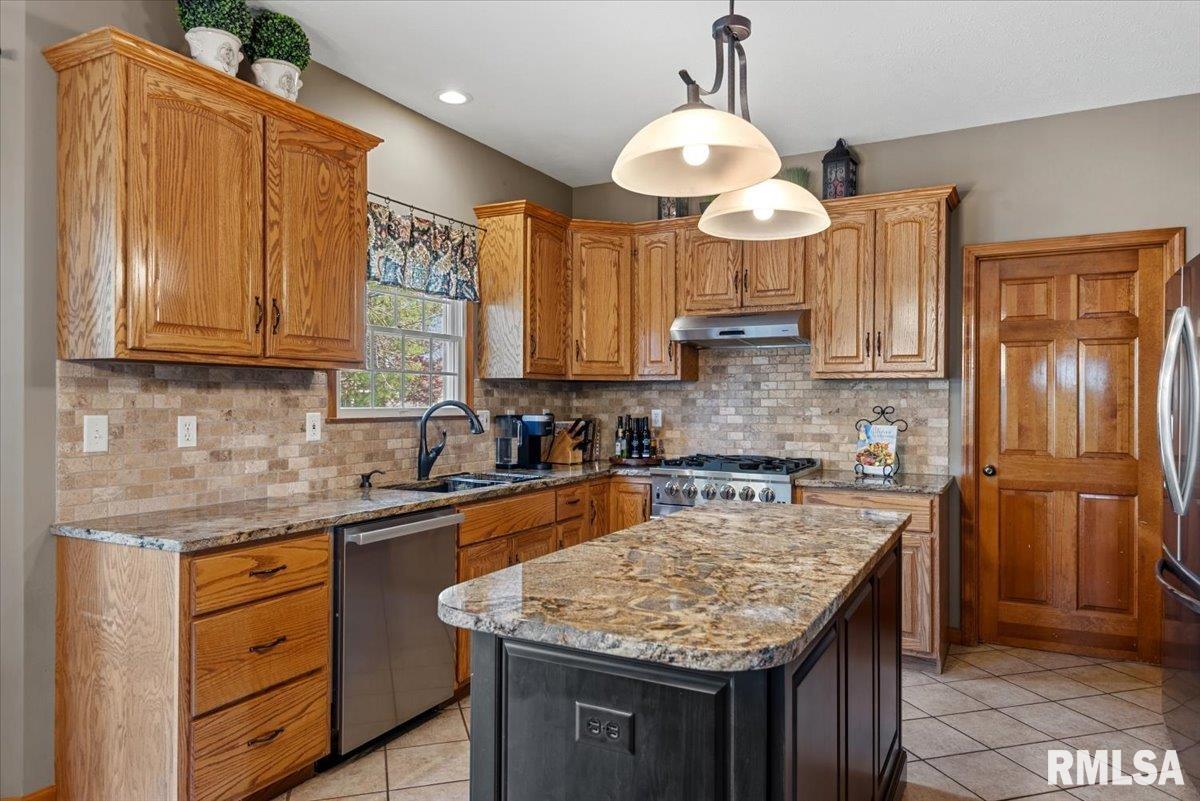 3725 Indian Grass Lane Springfield, IL 62712 - Photo 9 of 48