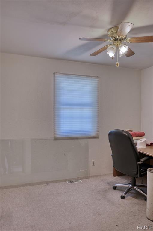 369 Mullins Road Chester, IL 62233 - Photo 20 of 50