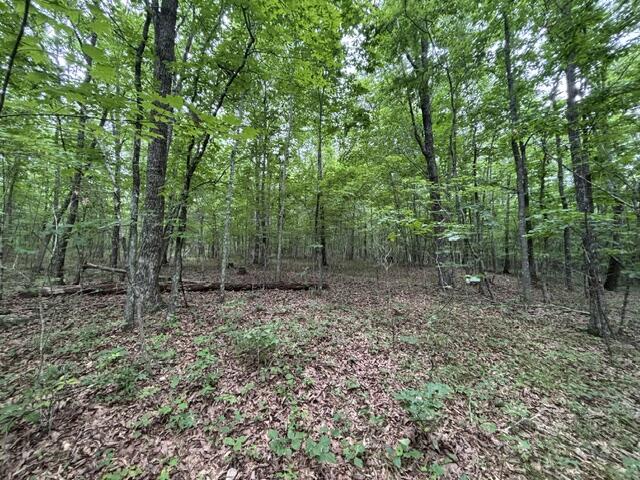 0 Greenfields Way North, Unit 12 Dunlap, TN 37327 - Photo 9 of 10 IMG_0214