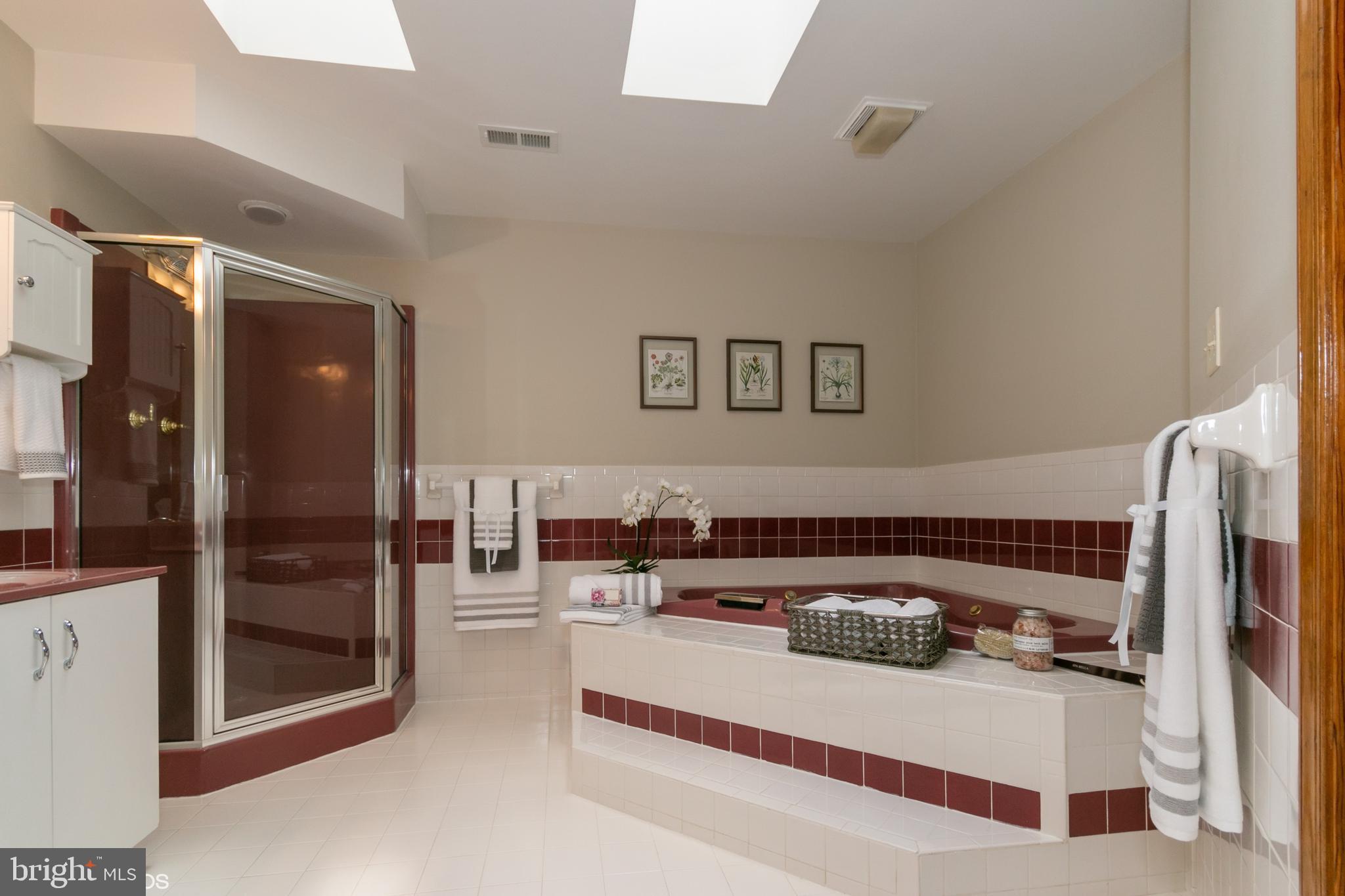 7110 Masters Road New Market, MD 21774 - Photo 23 of 29 Spacious Spa like master bathroom, Jacuzzi tub