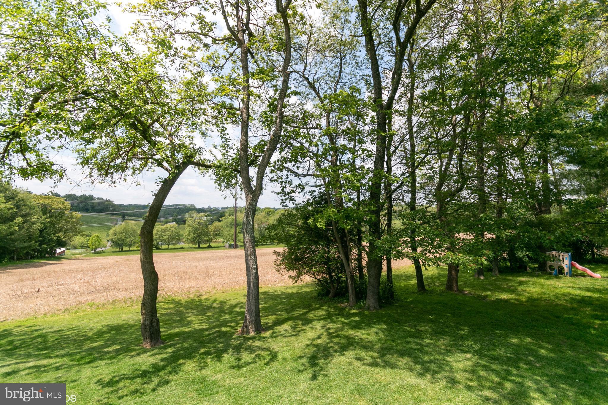 7110 Masters Road New Market, MD 21774 - Photo 28 of 29 Beautiful views of agricultural land with horses