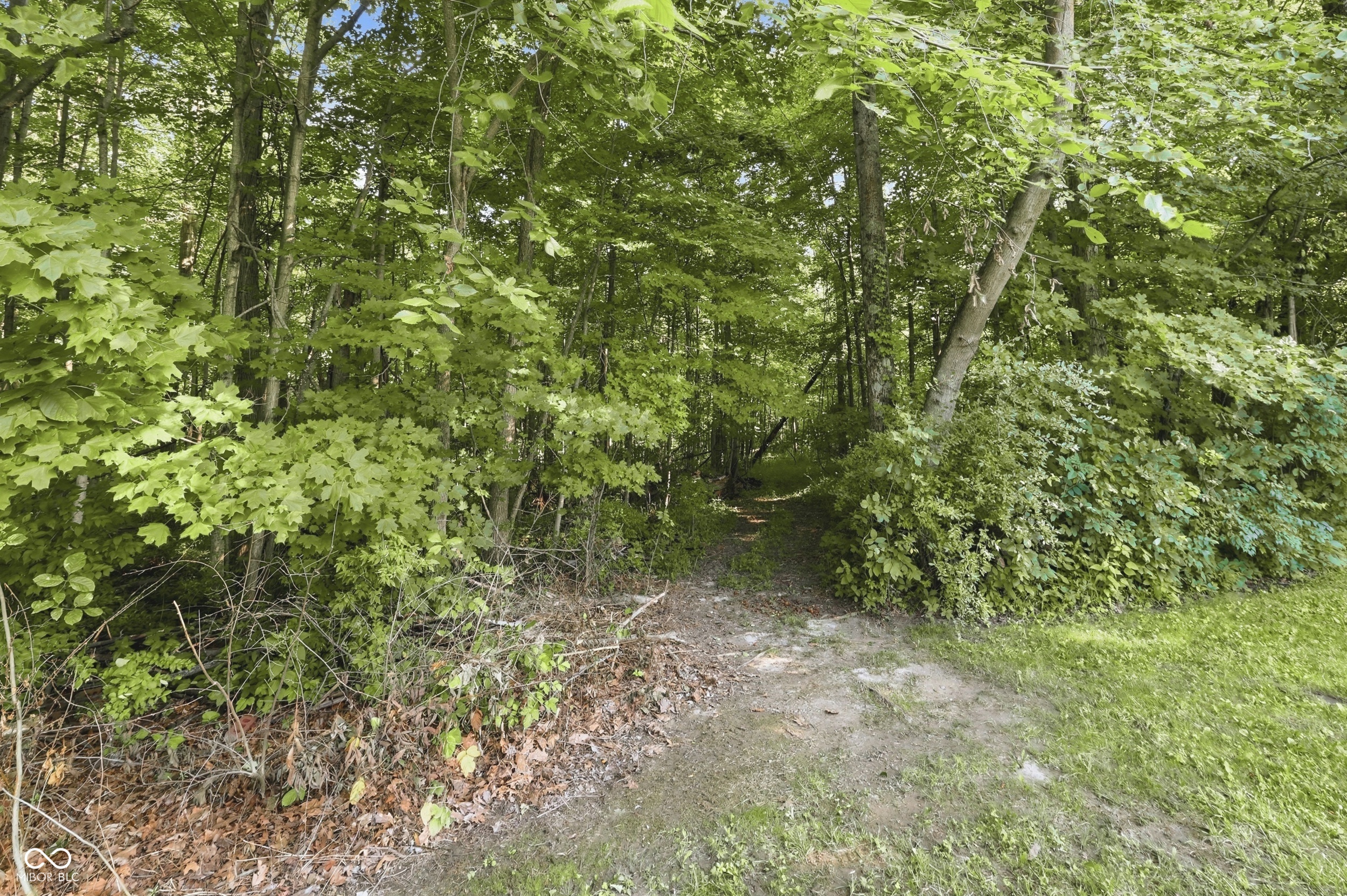 2644 South Spiceland Road New Castle, IN 47362 - Photo 65 of 71