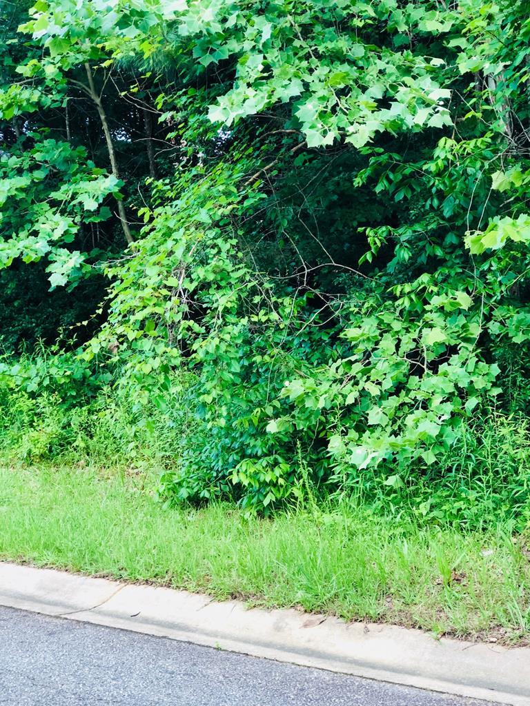 726 Waverly Point Macon, GA 31210 - Photo 1 of 1 a view of a garden