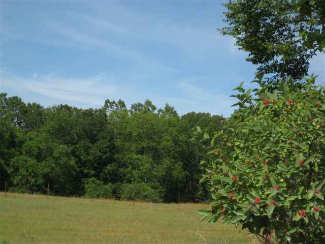 0 West Gates Street Romeo, MI 48065 - Photo 3 of 7 31065131-2.JPG