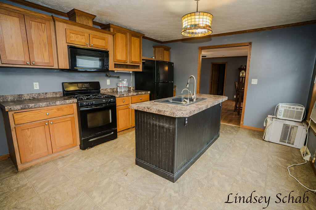 2299 Lyle Road Ionia, MI 48846 - Photo 9 of 47