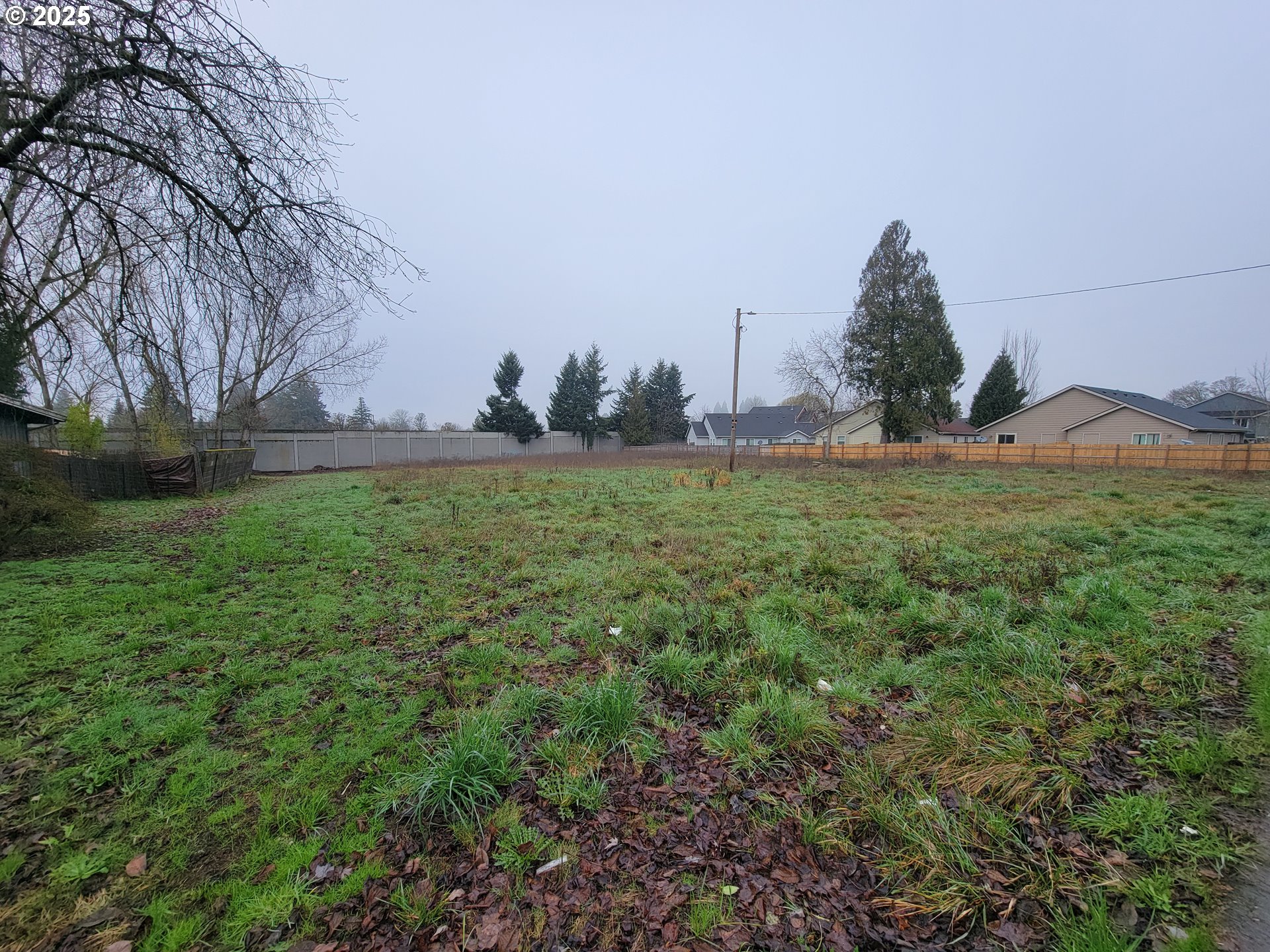2895 Fisher Road Northeast Salem, OR 97305 - Photo 5 of 5 a backyard of a house with lots of green space