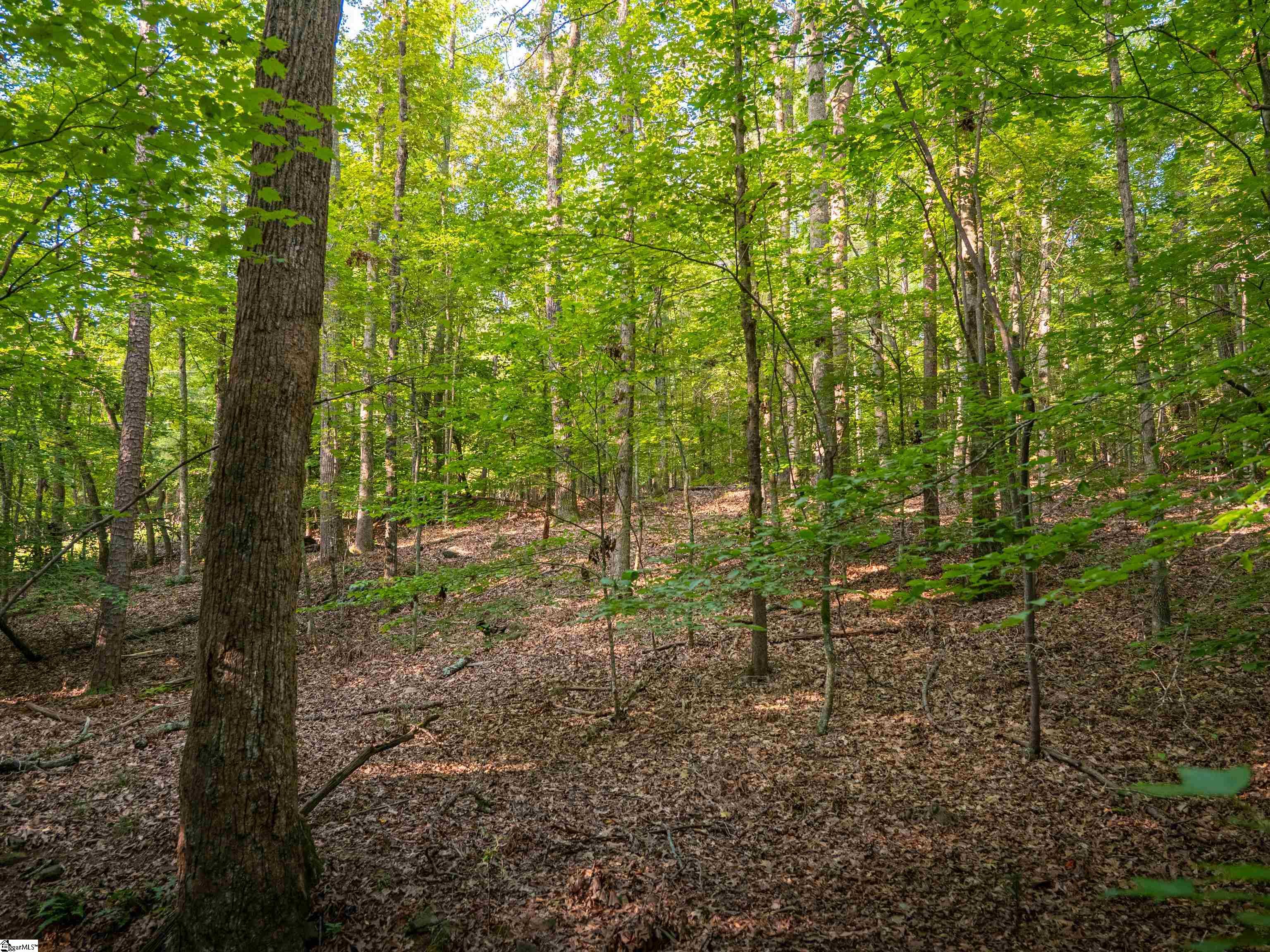 1 Goldmine Road Spartanburg, SC 29302 - Photo 13 of 26 Gallery Image 13