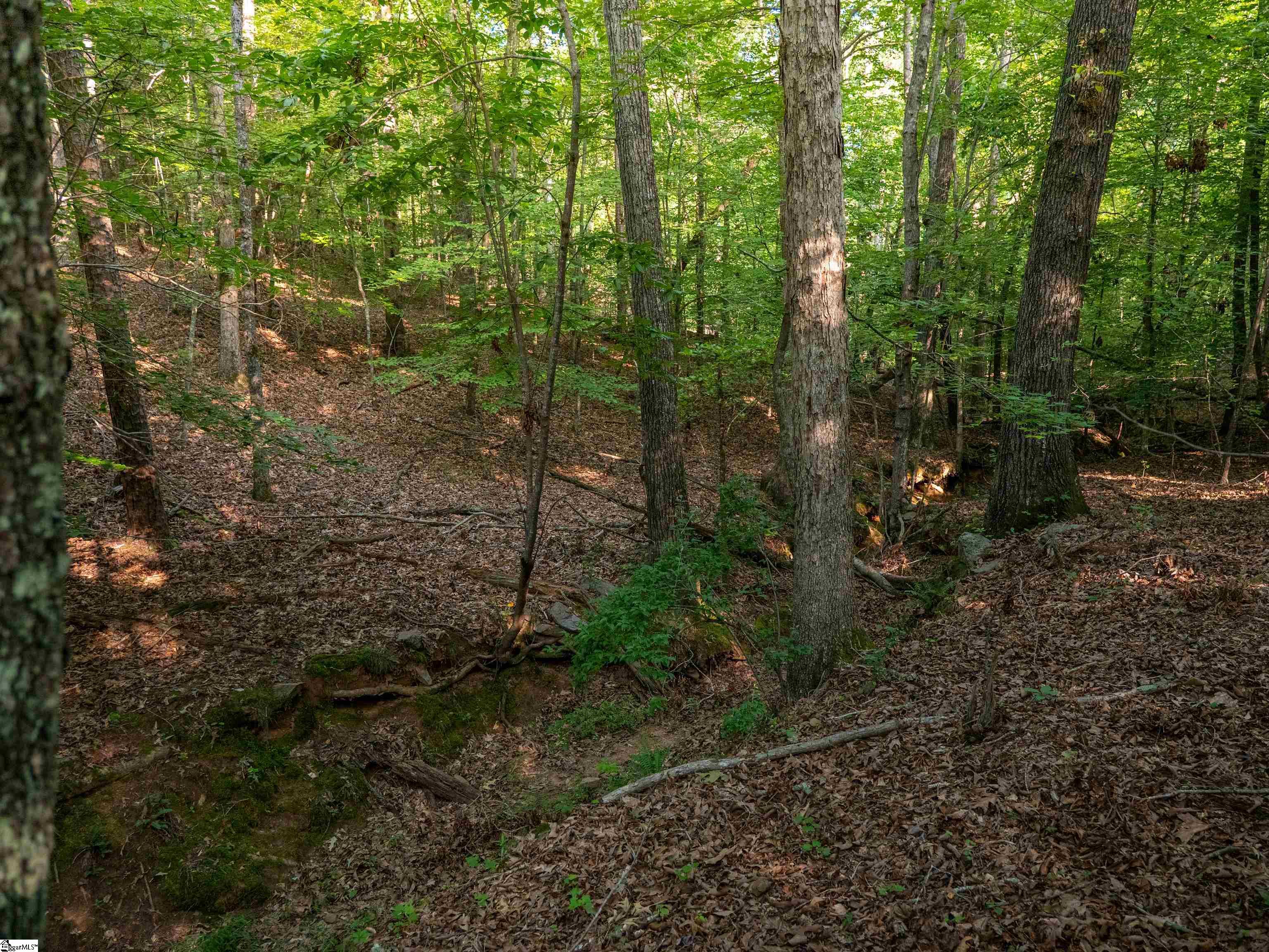1 Goldmine Road Spartanburg, SC 29302 - Photo 9 of 26 Gallery Image 9
