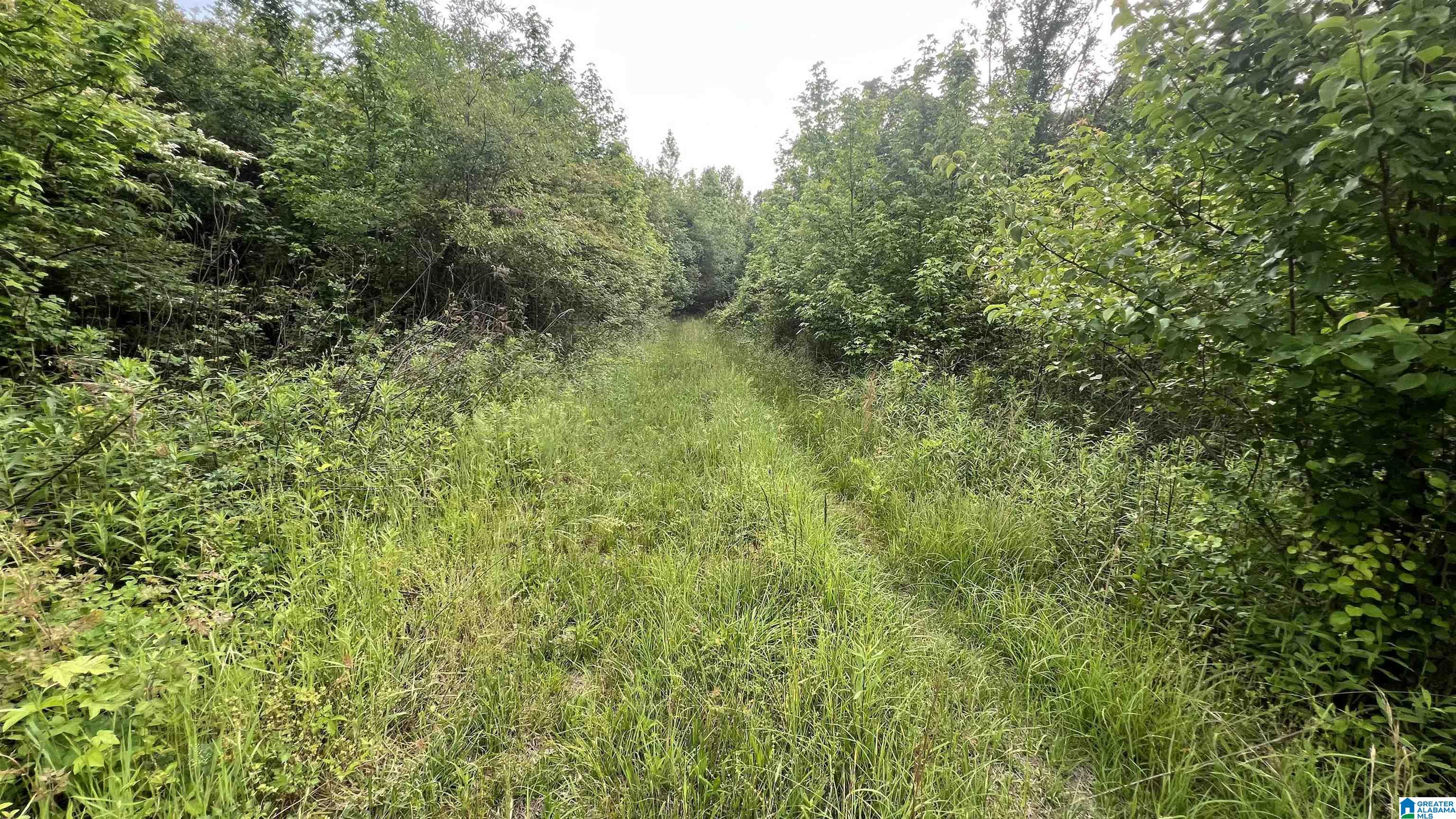 Lot 8 Woods Bend Road, Unit LOT 8 Ragland, AL 35131 - Photo 15 of 28