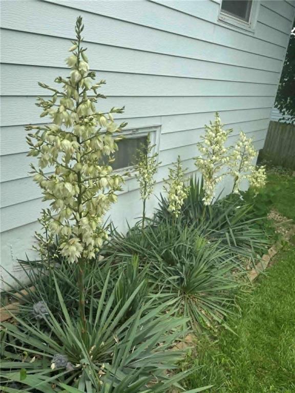 3304 North Delaware Street Independence, MO 64050 - Photo 24 of 30
