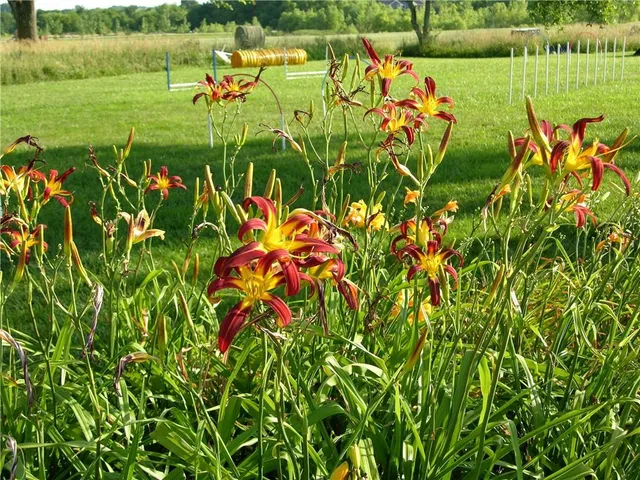 $1,125,000 | 23119 Pawnee Road, Bucyrus, KS 66013