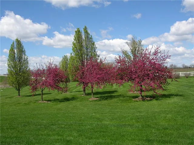 $1,125,000 | 23119 Pawnee Road, Bucyrus, KS 66013