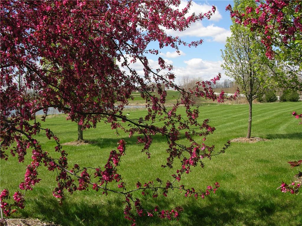 23119 Pawnee Road Bucyrus, KS 66013 - Photo 10 of 30