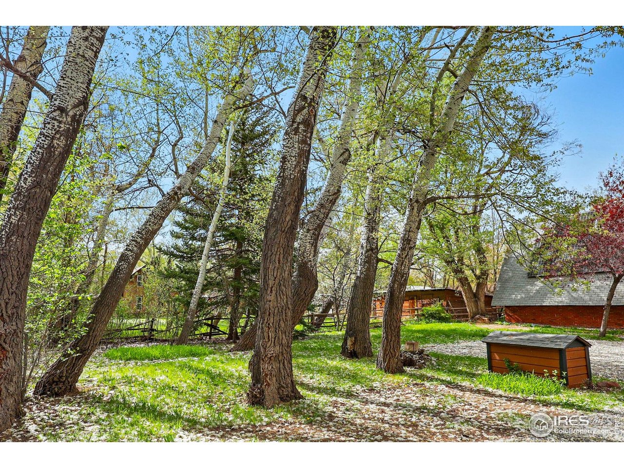 4731 Jay Road Boulder, CO 80301 - Photo 2 of 50 a park view with a seating space