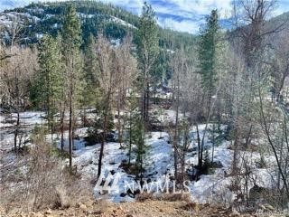161 Twisp River Road Twisp, WA 98856 - Photo 3 of 8 Gallery Image 3