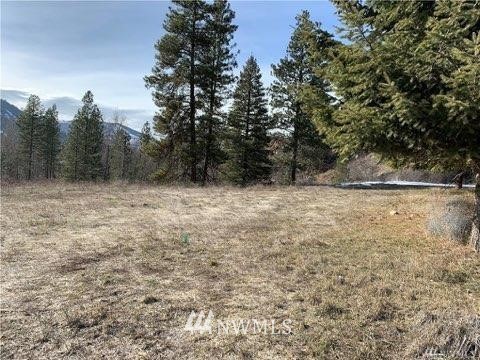 161 Twisp River Road Twisp, WA 98856 - Photo 4 of 8 Gallery Image 4