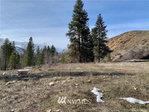 161 Twisp River Road Twisp, WA 98856 - Photo 5 of 8 Gallery Image 5