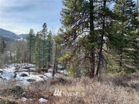 161 Twisp River Road Twisp, WA 98856 - Photo 6 of 8 Gallery Image 6