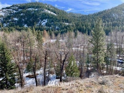 161 Twisp River Road Twisp, WA 98856 - Photo 7 of 8 Gallery Image 7