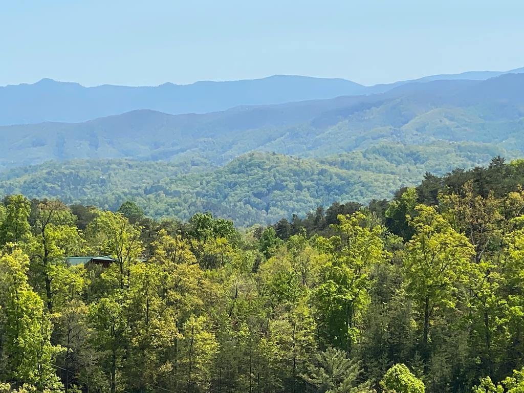 1910 Bluff Ridge Road Sevierville, TN 37876 - Photo 35 of 66