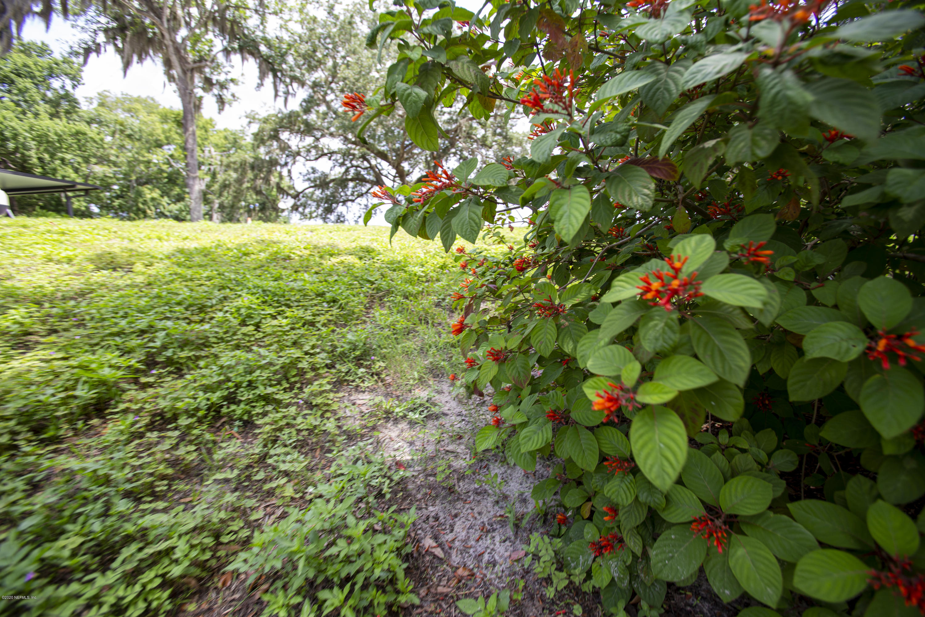 3969 Clark Road Green Cove Springs, FL 32043 - Photo 14 of 26 Lush Landscaping