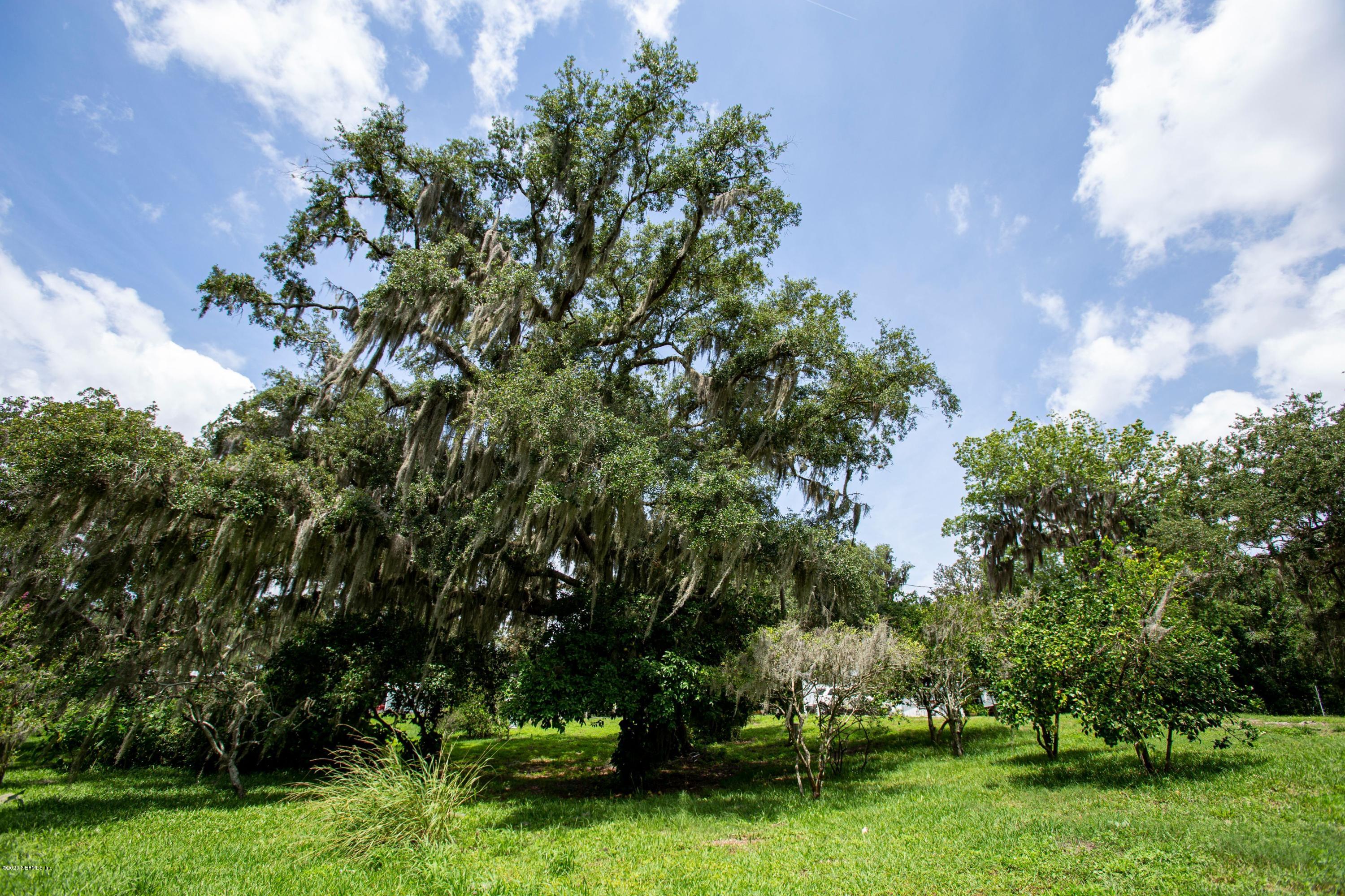 3969 Clark Road Green Cove Springs, FL 32043 - Photo 19 of 26 Mature, lush trees