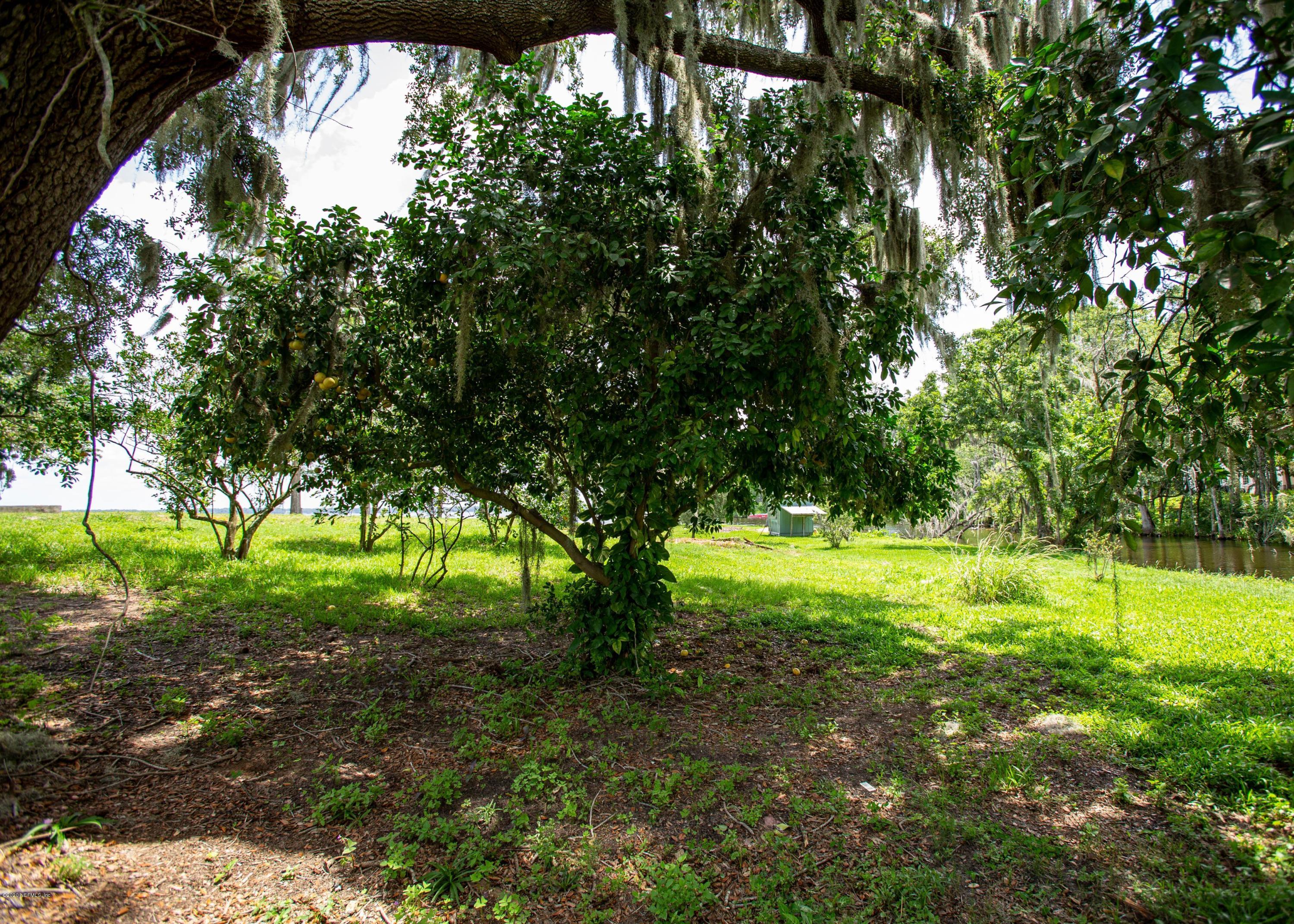 3969 Clark Road Green Cove Springs, FL 32043 - Photo 20 of 26 More trees