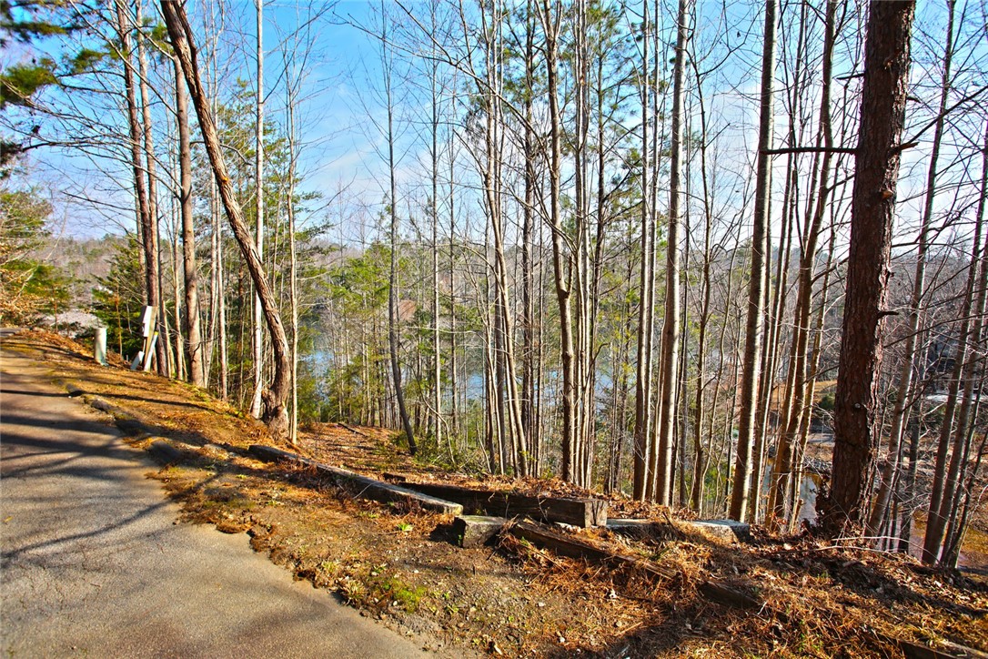 Lot 5 Royal Reserve Sunset, SC 29685 - Photo 12 of 50 Discover a tranquil lakeside retreat with mature trees providing natural serenity and lake views.