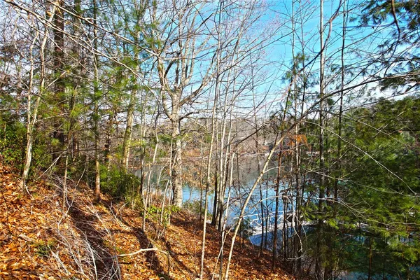 $499,000 | Lot 5 Royal Reserve, Sunset, SC 29685