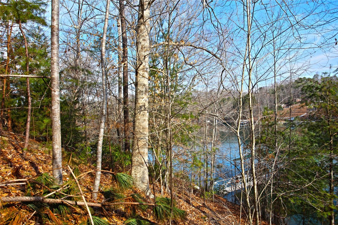 Lot 5 Royal Reserve Sunset, SC 29685 - Photo 30 of 50 This scenic lot offers tranquil lake views, perfect for building your dream home.