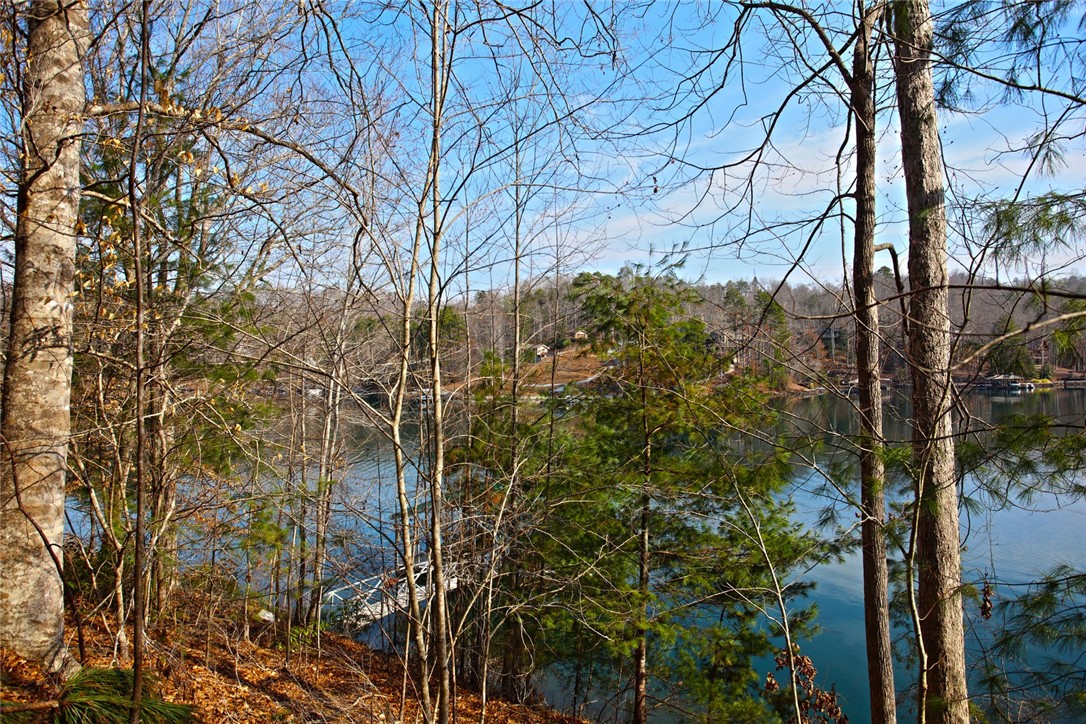 Lot 5 Royal Reserve Sunset, SC 29685 - Photo 31 of 50 This serene waterfront lot offers tranquil lake views, perfect for a peaceful retreat.