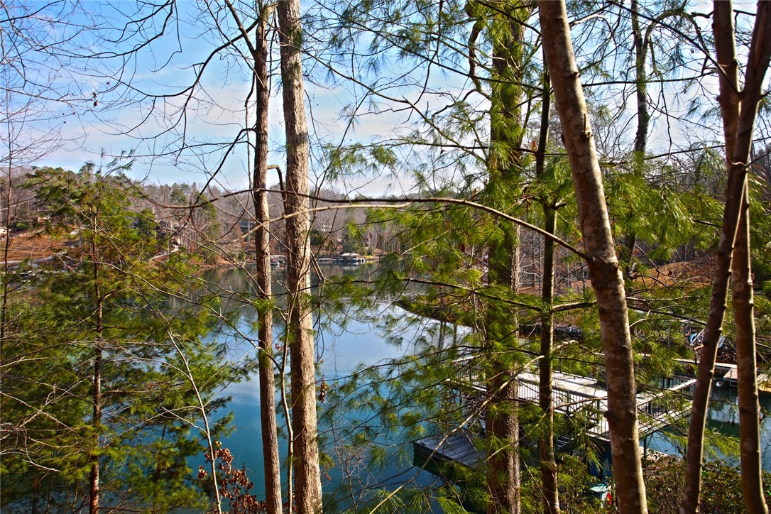 Lot 5 Royal Reserve Sunset, SC 29685 - Photo 32 of 50 This tranquil waterfront setting offers serene lake views and a private boat dock.