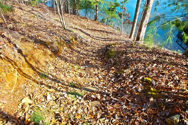 $499,000 | Lot 5 Royal Reserve, Sunset, SC 29685