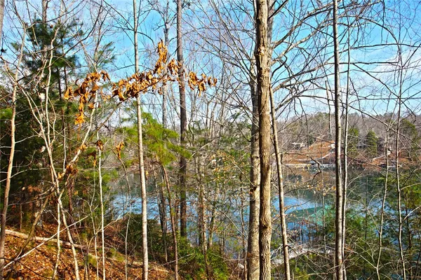 $499,000 | Lot 5 Royal Reserve, Sunset, SC 29685