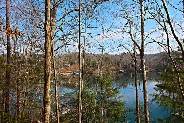 $499,000 | Lot 5 Royal Reserve, Sunset, SC 29685