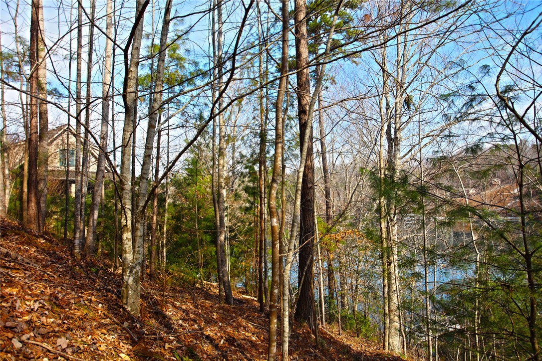 Lot 5 Royal Reserve Sunset, SC 29685 - Photo 39 of 50 This scenic waterfront lot offers direct access to the lake and a private yard.