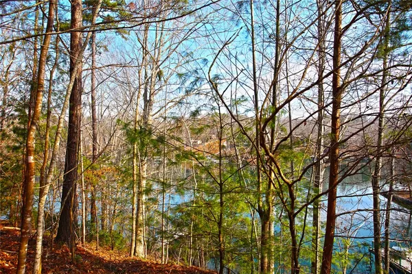 $499,000 | Lot 5 Royal Reserve, Sunset, SC 29685