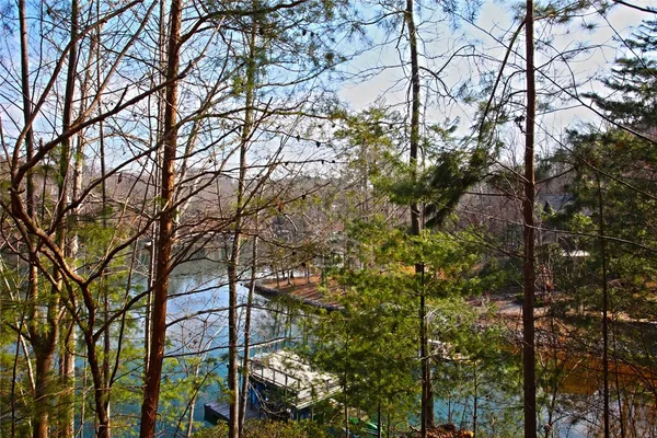 $499,000 | Lot 5 Royal Reserve, Sunset, SC 29685