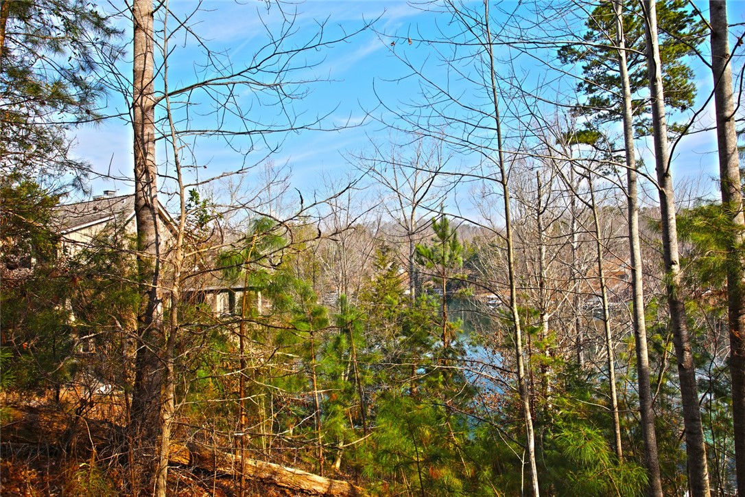 Lot 5 Royal Reserve Sunset, SC 29685 - Photo 42 of 50 This scenic property offers a captivating blend of natural beauty and waterfront access.