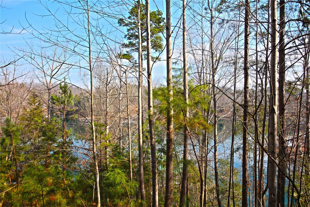 Lot 5 Royal Reserve Sunset, SC 29685 - Photo 43 of 50 This tranquil waterfront setting offers serene views, perfect for a peaceful retreat.