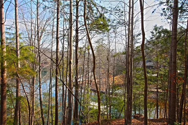 $499,000 | Lot 5 Royal Reserve, Sunset, SC 29685