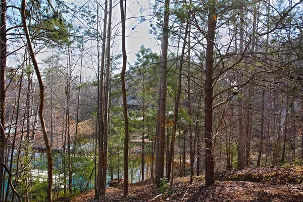 $499,000 | Lot 5 Royal Reserve, Sunset, SC 29685