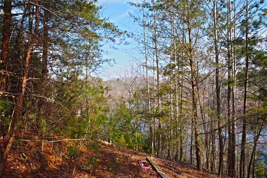 Lot 5 Royal Reserve Sunset, SC 29685 - Photo 46 of 50 This tranquil wooded lot offers serene lake views, perfect for a peaceful retreat.