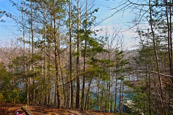 $499,000 | Lot 5 Royal Reserve, Sunset, SC 29685