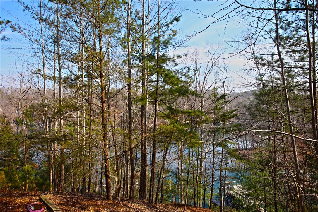 Lot 5 Royal Reserve Sunset, SC 29685 - Photo 47 of 50 This tranquil waterfront lot offers a natural canopy and serene lake views.