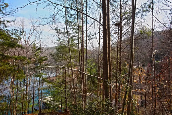 $499,000 | Lot 5 Royal Reserve, Sunset, SC 29685